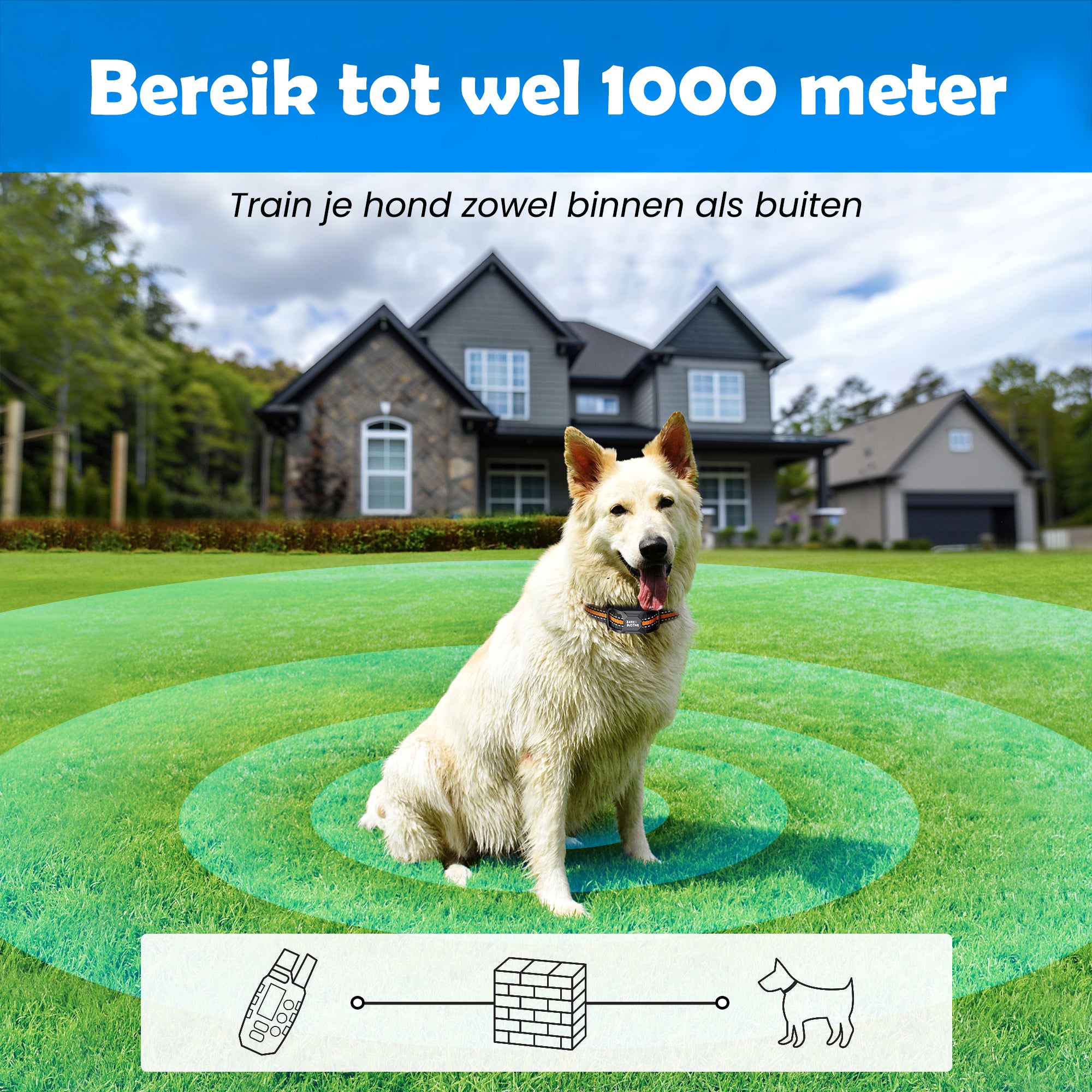 Witte herdershond met Anti Blafband Deluxe in een tuin, illustratie van bereik tot 1000 meter.