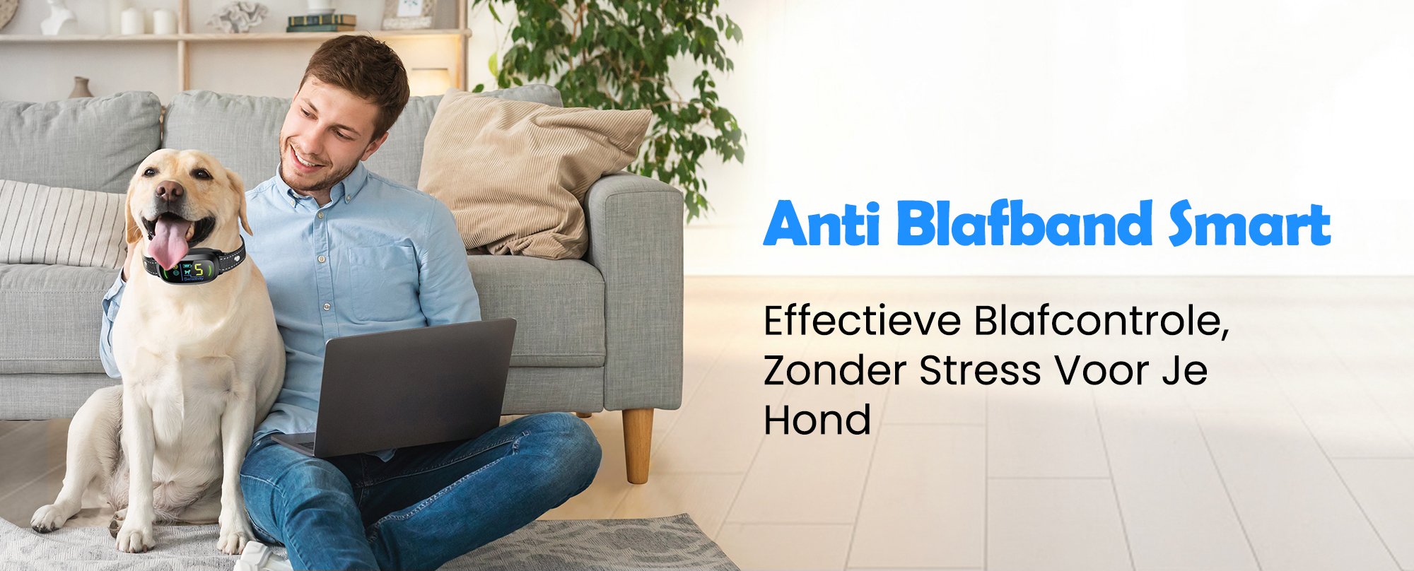 Hond met de Anti Blafband Smart zittend in een comfortabele huiskameromgeving, ideaal voor effectieve blafcontrole zonder stress.